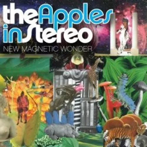 New Magnetic Wonder