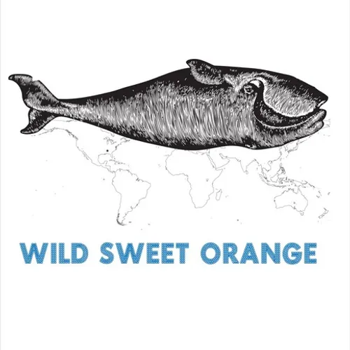 Wild Sweet Orange - The Whale EP