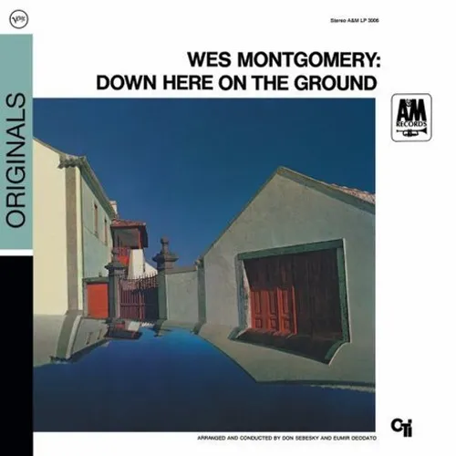 Down Here On The Ground