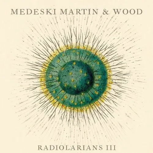 Medeski, Martin & Wood - Radiolarians Iii
