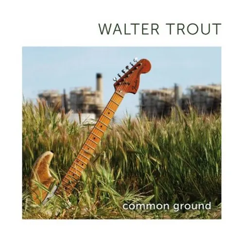 Walter Trout - Common Ground vinyl record cover