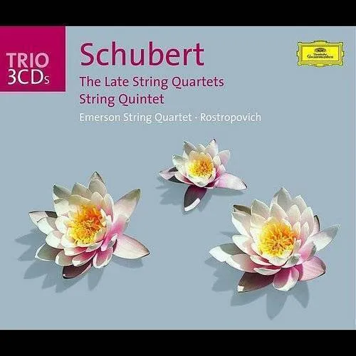 Late Quartets / String Quintet (Box)