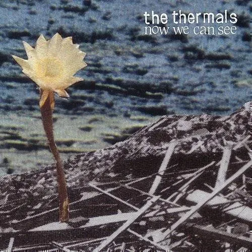 The Thermals - Now We Can See vinyl record cover