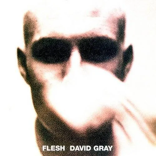 David Gray - Flesh [Import]