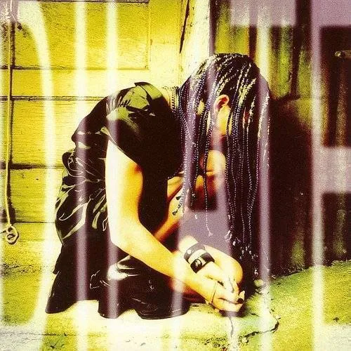 Ani DiFranco - Dilate vinyl record cover