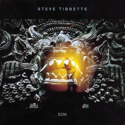 Steve Tibbetts - The Fall of Us All
