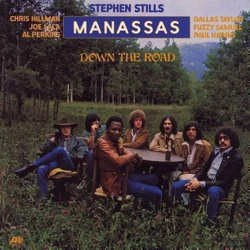 Stephen Stills - DOWN THE ROAD