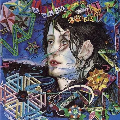Todd Rundgren - A Wizard, A True Star vinyl record cover