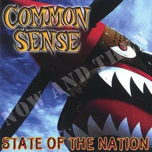 Common Sense - State of the Nation