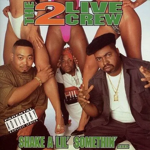 Shake a Lil Somethin