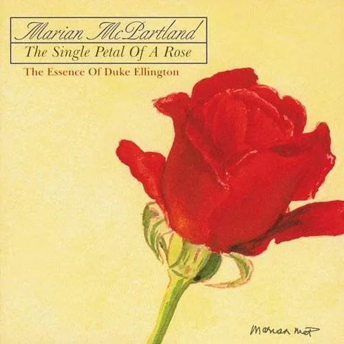 Single Petal Of A Rose