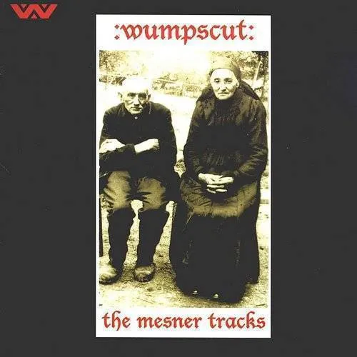 Mesner Tracks