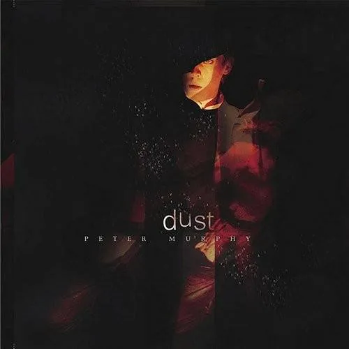 Dust
