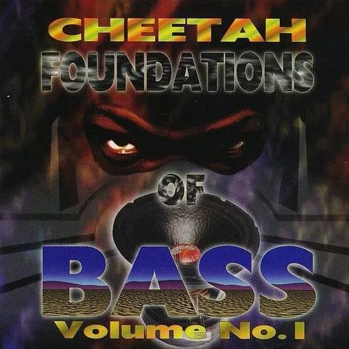 Foundations of Bass