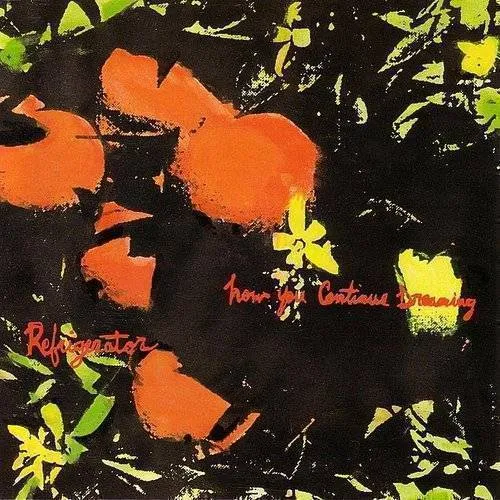 Refrigerator - How You Continue Dreaming vinyl record cover
