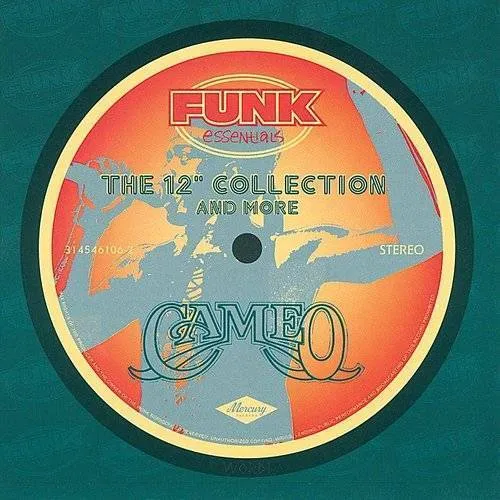 12-Inch Collection & More