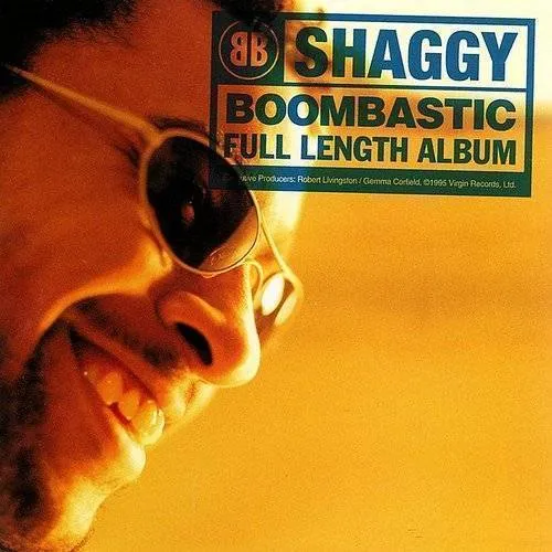 Shaggy - Boombastic