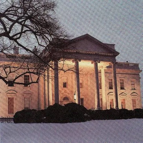 Dead C - White House