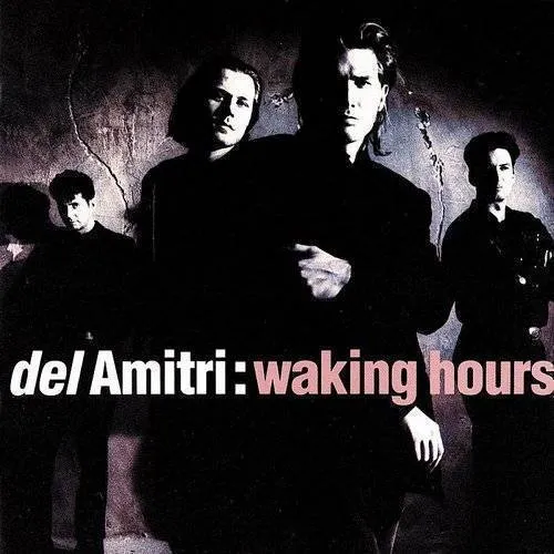 Del Amitri - Waking Hours [Import]