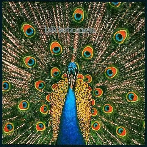 Bluetones - Expecting To Fly vinyl record cover