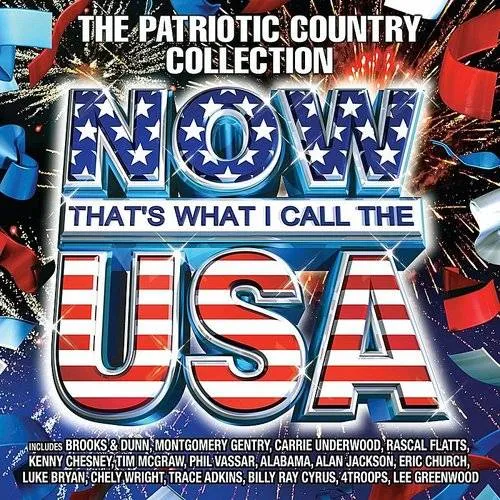Now USA: That's What I Call The USA