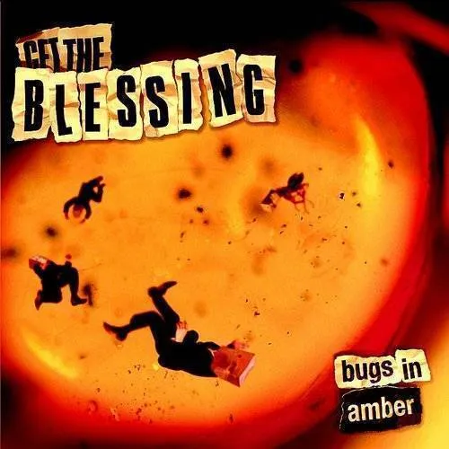 Bugs in Amber