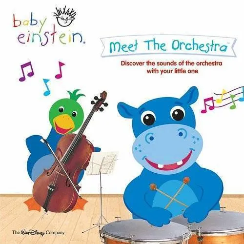 Meet The Orchestra
