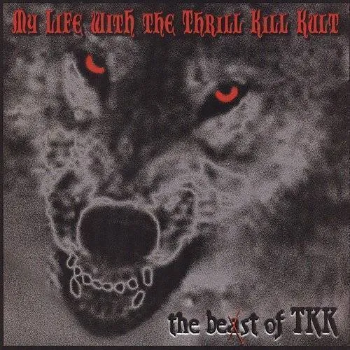 My Life With The Thrill Kill Kult - Best Of Tkk