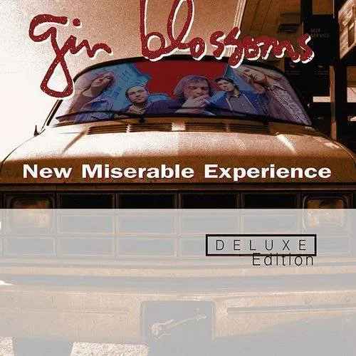 Gin Blossoms - New Miserable Experience vinyl record cover