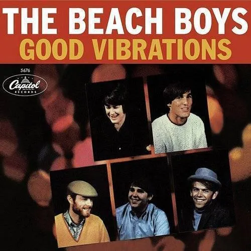 Good Vibrations 40th An Ed.
