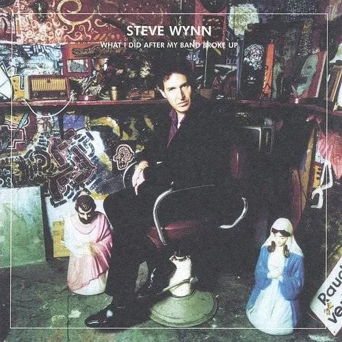 What I Did After My Band Broke Up: The Best Of Steve Wynn