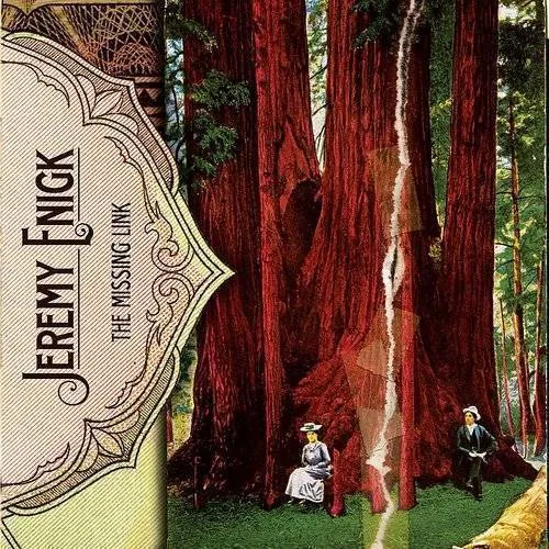 Jeremy Enigk - The Missing Link