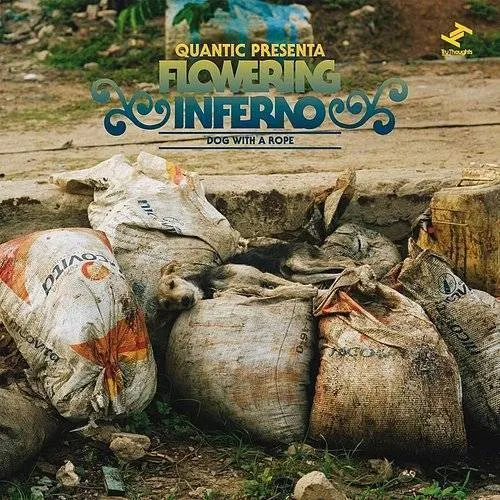 Quantic Presenta Flowering Inferno - Dog With A Rope