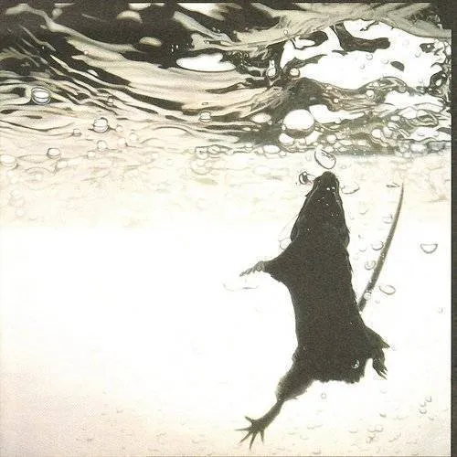 Swimmer