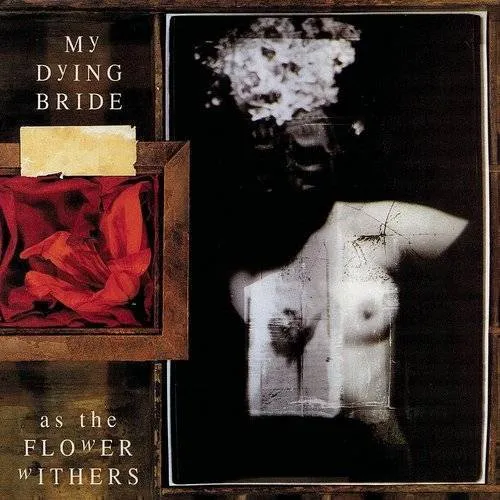 My Dying Bride - As the Flower Withers vinyl record cover