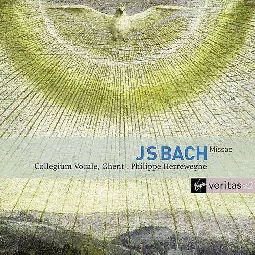 Bach: Masses BWV 233-235 Sanctus BWV 238 / Various