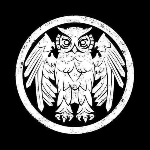 Riverboat Gamblers - Underneath The Owl vinyl record cover