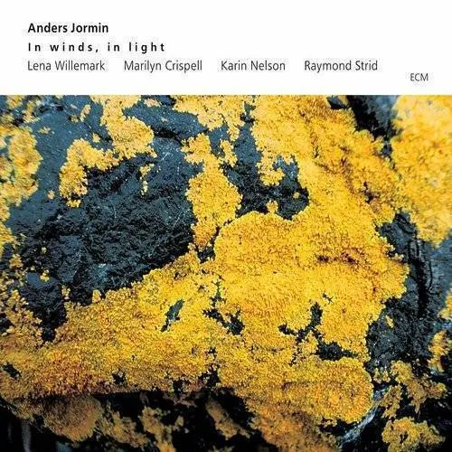 In Winds In Light