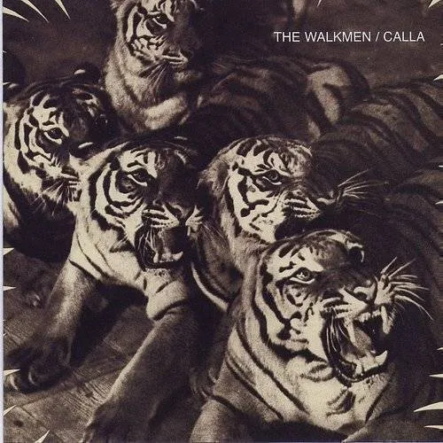 The Walkmen - Split