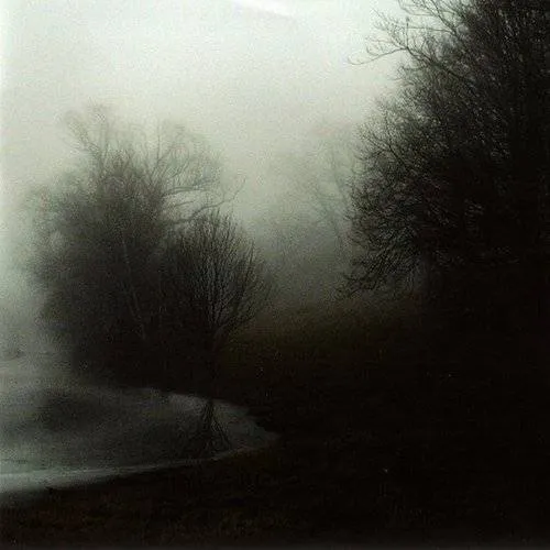 Apse - Spirit vinyl record cover