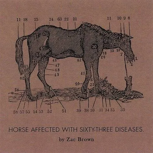 Zac Brown - Ride The Sick Horse