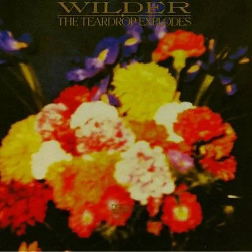Teardrop Explodes - Wilder vinyl record cover