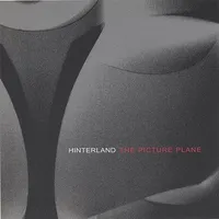Picture Plane
