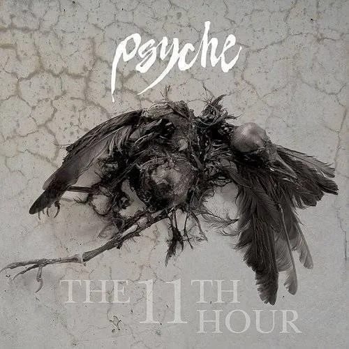 11th Hour