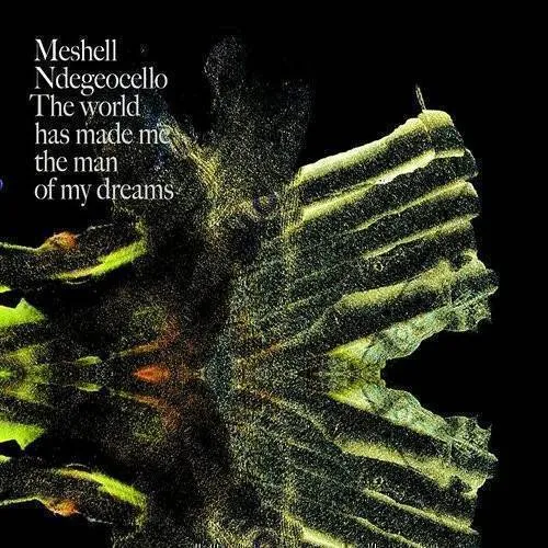 Me'Shell NdegéOcello - The World Has Made Me the Man of My Dreams [Limited]