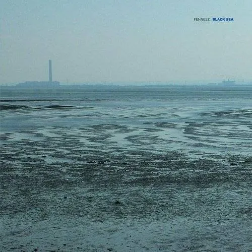 Fennesz - Black Sea vinyl record cover