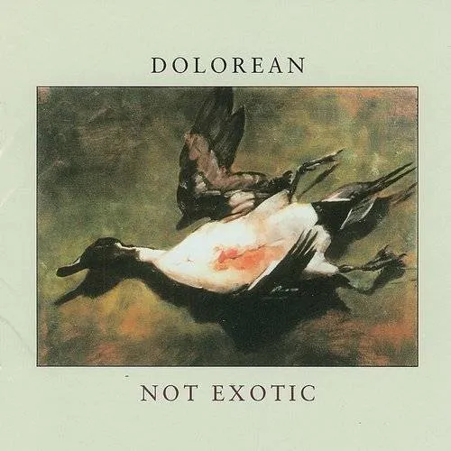 Not Exotic