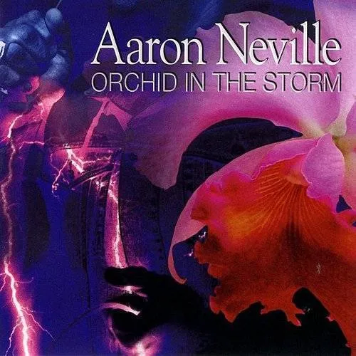 Orchid in the Storm