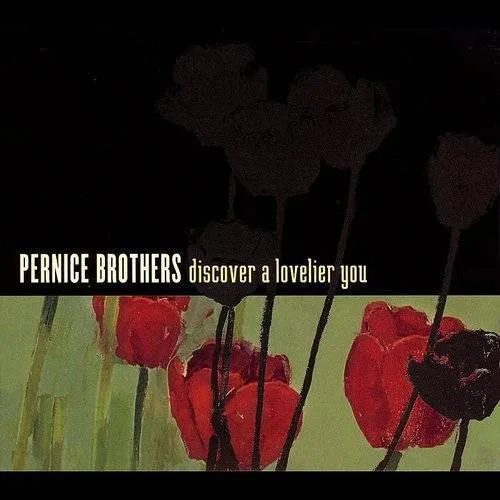 Pernice Brothers - Discover a Lovelier You vinyl record cover