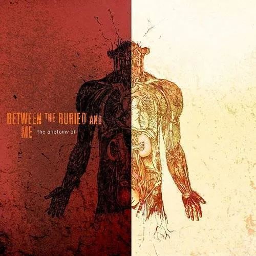 Between The Buried And Me - The Anatomy Of vinyl record cover